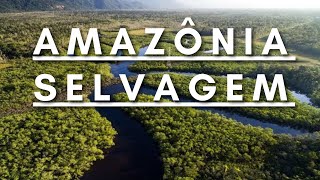 Amazônia Selvagem  Berço da vida  Documentário dublado HD [upl. by Noguchi383]