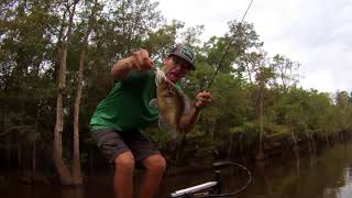 Pascagoula River Bass Fishing with DBT Outdoors [upl. by Kwasi]