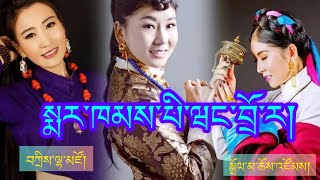 Tibetan Markham Song tibetanmusic gorshey tibetanvlogger [upl. by Ettennil]