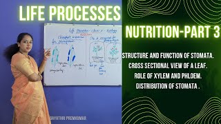 LIFE PROCESSES NUTRITION PART 3 class10 cbse biology lifeprocesses [upl. by Jahdiel488]