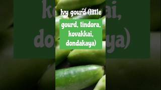 Discover the Health Benefits of Ivy Gourd A Nutrient Rich Superfood shorts ivygourd tindora [upl. by Nirak]