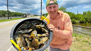 We LOADED UP on Crabs from the Side of This Public HighWay [upl. by Rollet]