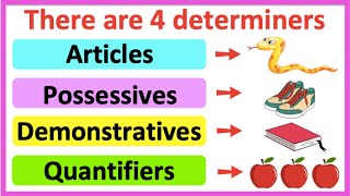 DETERMINERS 🤔  Articles Possessives Demonstratives amp Quantifiers  Learn with examples [upl. by Eenor]