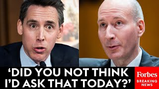 JUST IN Josh Hawley Does Not Let Up On Biden Official In Tense Senate Hearing [upl. by Ahsinuq]