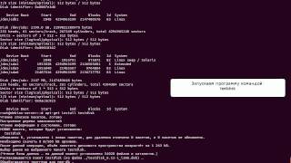 Восстановление таблицы разделов  testdisk Linux [upl. by Map]