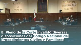 Revisan Código Nacional de Procedimientos Civiles y Familiares con respecto a la violencia vicaria [upl. by Johnathon902]