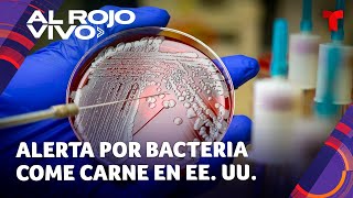 Alerta de salud Bacteria come carne se extiende por EE UU dejando víctimas mortales [upl. by Mayman]