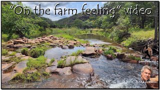 1 173 ha Waterberg  Vaalwater  Moepelberge Ecoestate Game farms for sale [upl. by Annad]