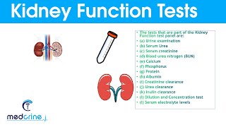 Kidney Function Tests and Interpretation of Results [upl. by Julina801]