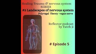 5 Landscapes of nervous system [upl. by Avehs]