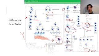 Eindexamen Biologie HAVO Live QampA  2023 [upl. by Adnamaa680]