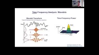 Timefrequency analysis and wavelets [upl. by Darcee]