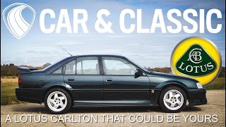 The Ultimate SuperSaloon  Lotus Carlton  Car amp Classic Auctions [upl. by Jacinta89]