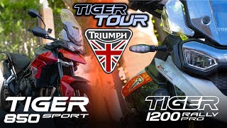 Tiger 1200 Rally Pro 2024 vs Tiger 850 2024 [upl. by Sordnaxela]