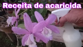 Como combater ácaro nas orquídeasAcaricida natural [upl. by Isabelita]