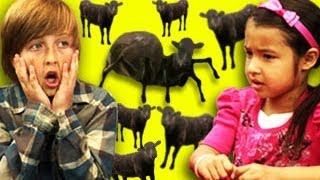 Kids React to Cows amp Cows amp Cows [upl. by Lonier]