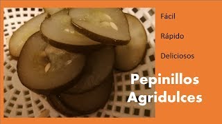 PEPINILLOS AGRIDULCES CÓMO HACER PEPINILLOS EN VINAGRE PEPINO ENCURTIDO [upl. by Leodora]