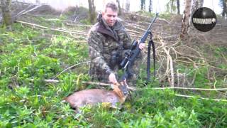 Jagen Engeland WestDean Estate Muntjac Reebok en Damhert [upl. by Ydolem84]