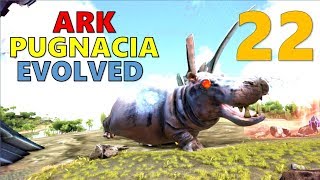 22 DEFEATING THE ASCENSION HIPPO ARK Pugnacia Evolved [upl. by Libbie]