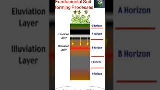 Soil Science Eluviation Illuviation Soil forming Process [upl. by Lehman]