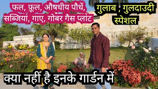 Gulab Guldaudi phal phool aur aushadhiye paudho se bhara garden [upl. by Ruamaj]