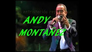 COBARDE COBARDE  ANDY MONTAÑEZ [upl. by Eliga]