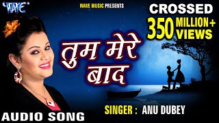 तुम मेरे बाद मोहब्बत को तरस जाओगे  Anu Dubey  Tum Mere Bad Mohabbat ko Taras Jaoge Hindi Sad Song [upl. by Garfinkel]