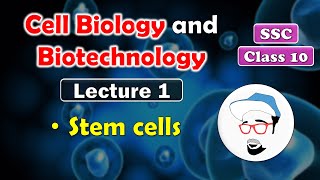 Cell Biology and Biotechnology Lecture 1  Class 10 SSC  Embryonic stem cells and adult stem cells [upl. by Lorelle]