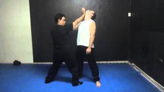 Krav maga  Técnicas de escape Faixa Branca  Goiânia  Golpes pré torção [upl. by Sgninnej]