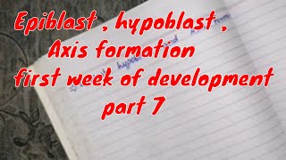 Epiblast Hypoblast Axis formation first week of development part 7 embryology [upl. by Ynnob540]