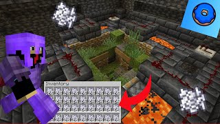 building a HUGE BONE MEAL FARM on Donut SMP [upl. by Luedtke]