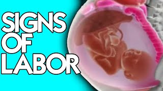 Signs of Labor from a Midwife  How to Know When Its Time [upl. by Novi]