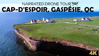 ⚜️ Breathtaking Aerial Views of CapdEspoir Gaspésie Québec 🇨🇦  DJI Mini 2 in 4K 🛩️ [upl. by Ekez]