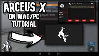 How to get Arceus X on MacPC FOR FREE  Roblox Tutorial [upl. by Appledorf168]