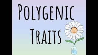 Polygenic Traits [upl. by Itaws]