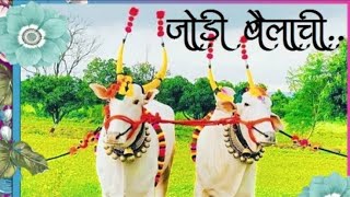 Jodi Bailachi Khilari Dj Song  Amhi Kastalu Shetkari Dj Remix  Bailpola Special Dj Song  NilRemix [upl. by Tore823]