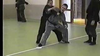 Grahams 1998 Bujinkan Seminar Schiedam [upl. by Attlee]