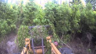 WCM Mulching machine  Forestry mucher fecon head 843G 500 HP [upl. by Bayly]