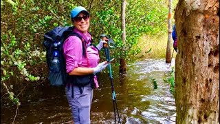 Hiking the Ocean To Lake Trail  Loxahatchee Slough to Riverbend Park Section [upl. by Aiepoissac220]