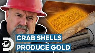 Crab Shells Help Hoffmans Find Big Gold Haul  Hoffman Family Gold [upl. by Bran840]