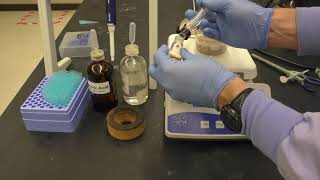 EAS Synthesis of Acetylferrocene Experiment S21 [upl. by Joelle]