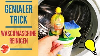 Genialer Trick Waschmaschine reinigen mit Hausmitteln  mit Flusensieb Türdichtung amp Schublade [upl. by Ayiak928]