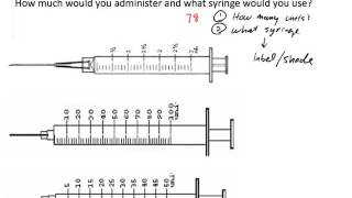 U100 Insulin Dosage Calculation Two Examples [upl. by Ednarb772]