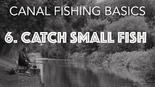 How To Catch Small Canal Fish [upl. by Ferreby]