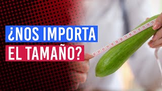 ¿Por qué nos importa tanto el TAMAÑO del pene [upl. by Ahsatam]