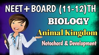 Notochord amp Development 👉🏻 Animal Kingdom Class 11th Biology education biology board neet [upl. by Leighton]