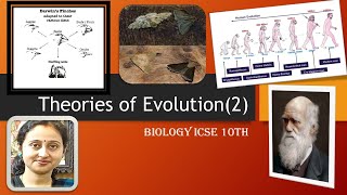 DarwinismTheoryOfNaturalSelectionIndustrialMelanismDifferenceLamarckismDarwinismBiology10th [upl. by Analed]