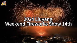 2024 Liuyang Weekend Fireworks Show 14th fireworkshorts festival fireworks [upl. by Wanyen]