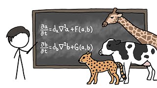 Can Math Explain How Animals Get Their Patterns [upl. by Llenhoj562]