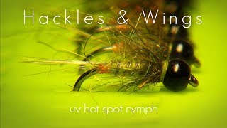 Fly Tying UV Hot Spot Nymph  Hackles amp Wings [upl. by Winny]